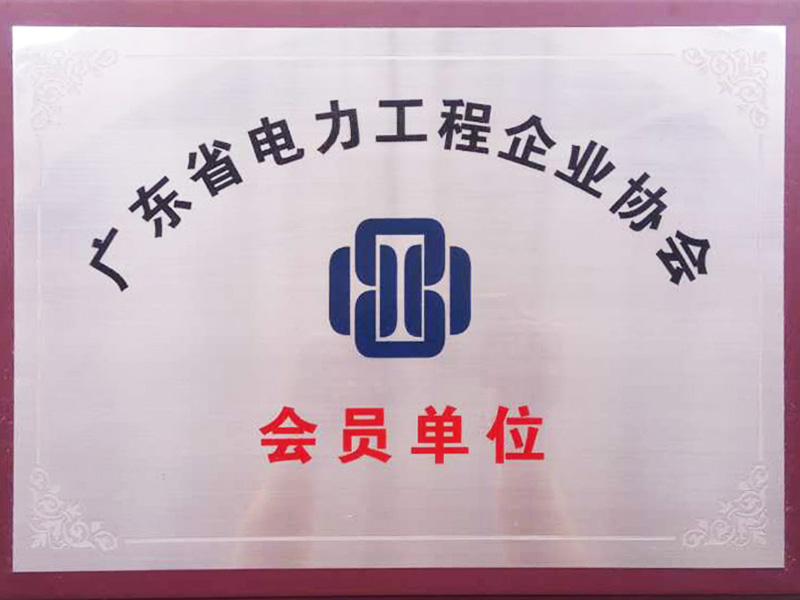 廣東省電(diàn)力工(gōng)程企業協會會員